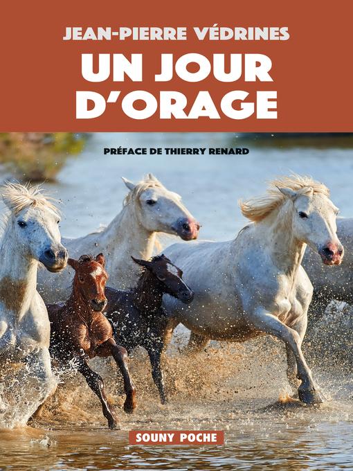 Cover image for Un Jour d'orage